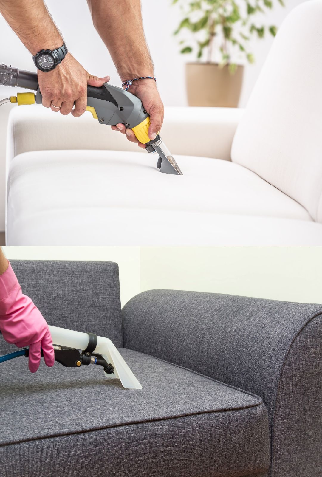Upholstery cleaning service