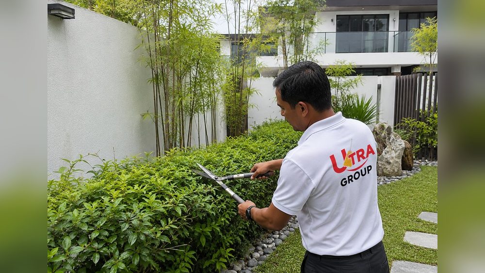 Garden landscaping and lawn care